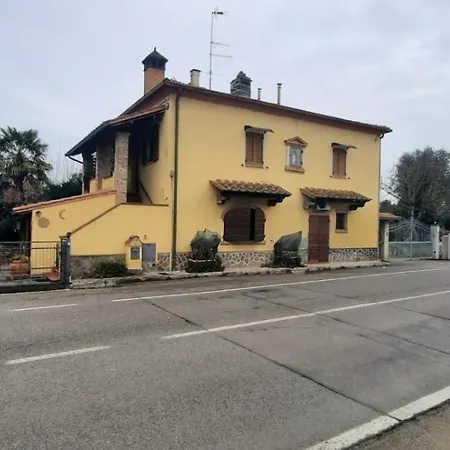Tom & Jerry * Foiano Della Chiana